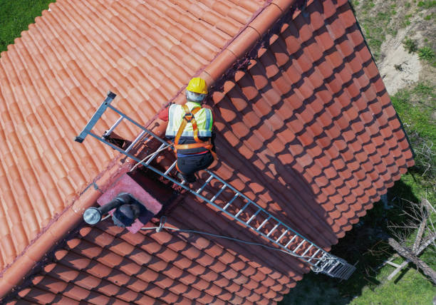 Best Commercial Roofing Services  in Lolo, MT
